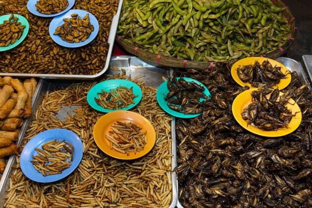  Gegrillte Seidenwürmer und gebratene Grillen, thailändische Spezialitäten im Nachtmarkt an der Walking Street, Chiang Rai, Provinz Chiang Rai, Nordthailand, Thailand, Asien iblsbe03882470.jpg