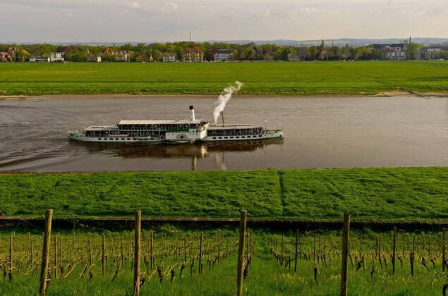 Der Raddampfer Dresden der Saechsischen Dampfschiffahrt (Weisse Flotte) faehrt am Ostersonntag (20.04.14) auf der Elbe in Richtung Innenstadt. Im Vordergrund die Weinberge von Lutz Müller. RM001
