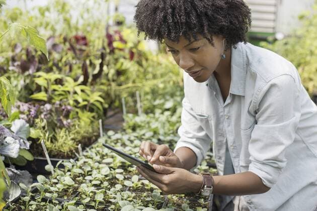 IMAGO Creative: Landleben, Digitalisierung auf dem Land An organic horticultural nursery and farm outside Woodstock. A woman holding a digital tablet. 