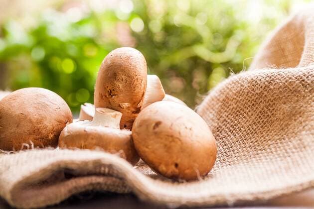 Frische braune champignons im Sonnenlicht auf einem Holztisch bei Tageslicht