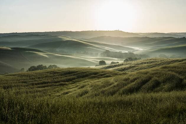 Landschaft mit Hügeln, Morgenlicht, Val d Orcia, UNESCO Weltkulturerbe, bei San Quirico d Orcia, Provinz Siena, Toskana, Italien, Europa ibxdjs03929934.jpg