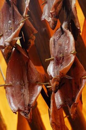 Zum Raeuchern aufgehaengte Fische, Schweden, Lappland fish hanging to cure, Sweden, Lapland BLWS046521