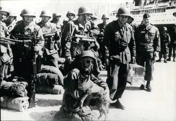 Apr. 04, 1956 - Warriors Or Peacemakers? New Reinforcements Of French Troops Stationed In Germany Have Been Arriving In Algeria Lately. Photo shows The Dog And The Bird Cage Lend A Peaceful Touch To This War Picture Taken At Mers-El-Kebir.  - ZUMAk09