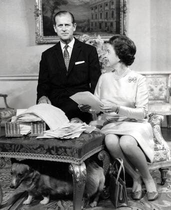 Nov. 20, 1972 - London, England, U.K. - The elder daughter of King George VI and Queen Elizabeth, ELIZABETH WINDSOR (named Elizabeth II) became Queen at the age of 25, and has reigned through more than five decades of enormous social change and development. PICTURED: QUEEN ELIZABETH and PRINCE PHILIP opening greeting cards on the occasion of their silver anniversary. London UK  - ZUMAk09
