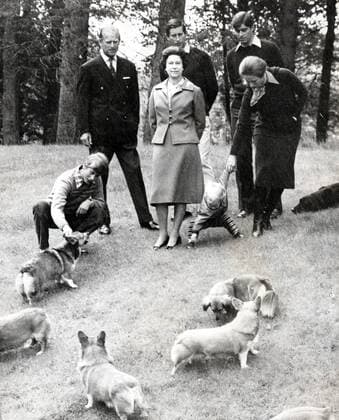 Nov. 1, 1979 - Balmoral, England, U.K. - The elder daughter of King George VI and Queen Elizabeth, ELIZABETH WINDSOR (named Elizabeth II) became Queen at the age of 25, and has reigned through more than five decades of enormous social change and development. PICTURED: QUEEN ELIZABETH, PRINCE PHILIP, PRINCE CHARLES, PRINCE ANDREW, PRINCESS ANNE with her son PETER and PRINCE EDWARD. Balmoral UK  - ZUMAk09