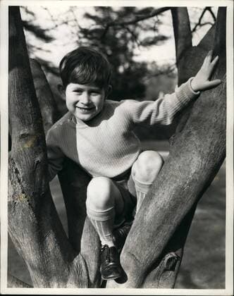 Apr. 04, 1954 - New Photograph of H.M. Queen Elizabeth, The Queen Mother, Prince Charles and Prince Anne. Photo Shows Prince Charles climbing a tree in the Gardens of Royal Lodge, Windsor.  - ZUMAk09