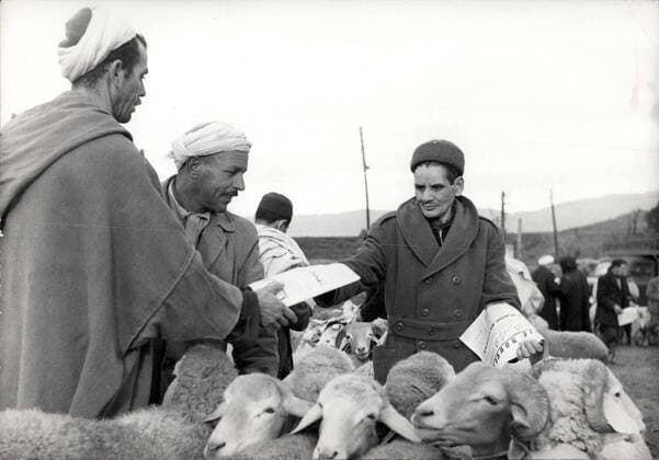 Jan. 02, 1961 - Vote ?yes? say leaflets. OPS: Leaflets calling on the native population to answer ?yes? to De Gaulle?s referendum on Algeria are being distributed on the market place at Tizi-Ouzou in Kabylia. Jan. 2nd 6101  - ZUMAk09