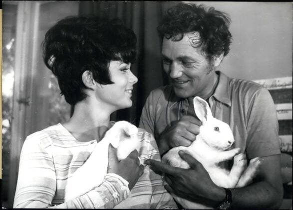Jun. 25, 1969 - Harald Leipnitz and Uschi Glas are pictured here holding bunny rabbits. Leipnitz is starring along with Glas in the film Sch?tzchen wundert sich - der Kerl liebt mich.  - ZUMAk09