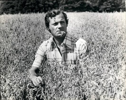 Aug. 08, 1975 - King Down o The Farm: Rumours are circulating that King Karl Gustav of Sweden will shortly announce his engagement to his constant companion Silvia Sommerlath, 31. Has he now finished sowing his wild oats as he is seen here in the oat field on his farm at Stenhammer, Sweden.  - ZUMAk09