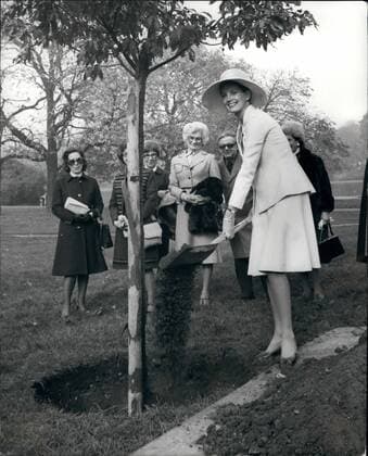 Oct. 10, 1975 - GAYLE HUNNICUTT PLANTS AN OAK TREE IN HYDE PARK TO COMMEMORATE INTERNATIONAL WOMEN S YEAR PEACH PETITION Actress GAYLE HUNNICUTT today planted an Oak tree for peace in Hyde Park to Commemorate the International womne s Year Peace Petition calling for a halt to terreriem PHOTO SHOWS: GAYLE HUNNICUTT planting the oak tree in Hyde Park today  - ZUMAk09