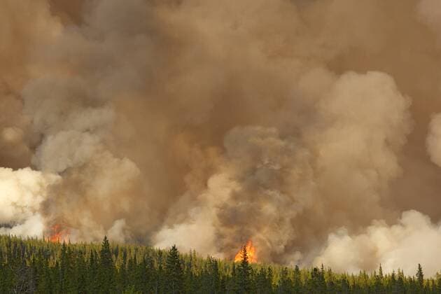 Forest fire burning off the David Thompson Highway in Alberta, Canada  acp51229 photography