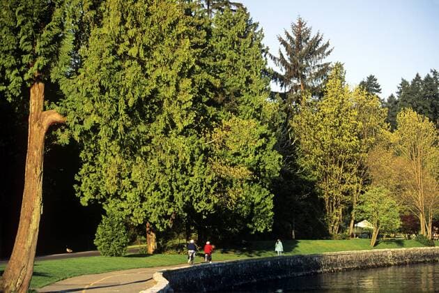 Girls, Bicycling, Stanley Park, Vancouver, British Columbia, National Historic Site, people, spring  acp14397 Barrettx&xMacKay