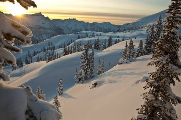 A man skiing deep powder while backcountry skiing at Sol Mountain, Monashee Backcountry, Revelstoke, BC  acp58319 photography