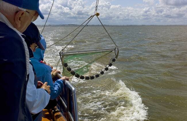 Schaufischen fuer Touristen vor der Insel Langeoog, Deutschland, Niedersachsen, Langeoog fishing event for tourists on the North sea , Germany, Lower Saxony, Langeoog BLWS283342