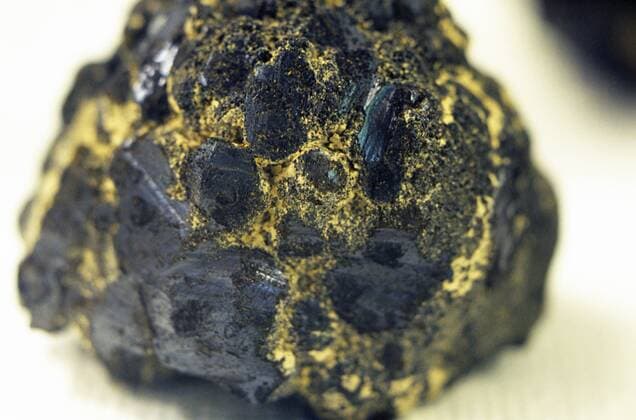 IMAGO Nature: Unsere Erde, Ressourcen, Erze Manganknolle aus der Tiefsee des Atlantiks manganese nodule from deep-sea BLW053992