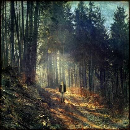 Man walking in forest, composing model released  DWI000071