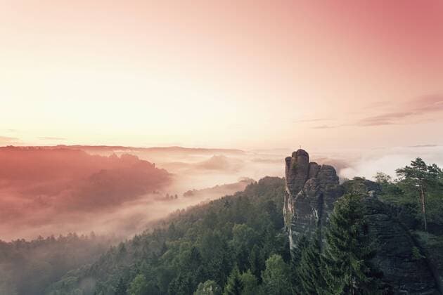 Germany, Saxony, morning mist at Elbe Sandstone Mountains  MSF004108