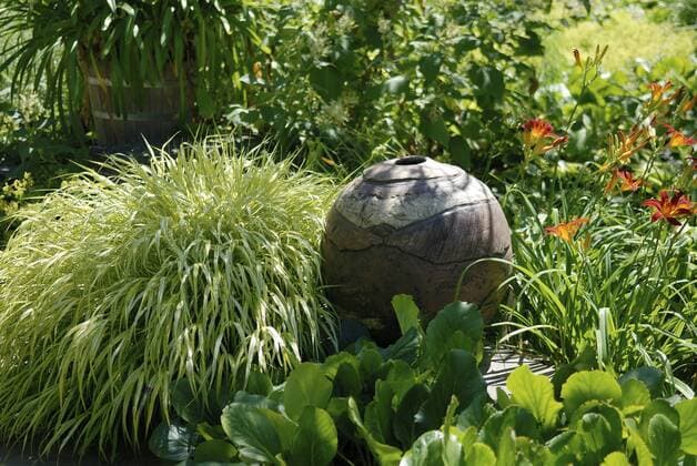 Goldenes Japangras, Japan-Berggras, Japanberggras (Hakonechloa macra Aureola , Hakonechloa macra Aureola), Sorte Aureola in einem Beet mit Dekokugel Hakonechloa (Hakonechloa macra Aureola , Hakonechloa macra Aureola), cultivar Aureola BLWS298079