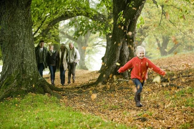 Germany, Baden-Württemberg, Swabian mountains, Family walking together in forest model released  WESTF06254