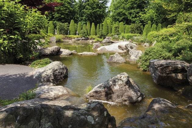 Germany, North Rhine-Westphalia, Bonn, Japanese garden  CSF014366