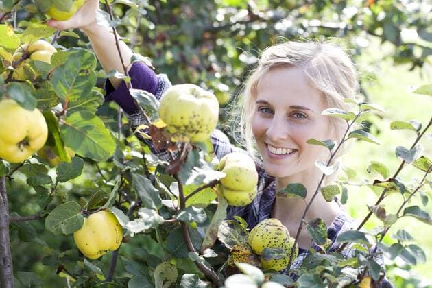 Germany, Saxony, Young woman in the farm, smiling model released  MBF001128