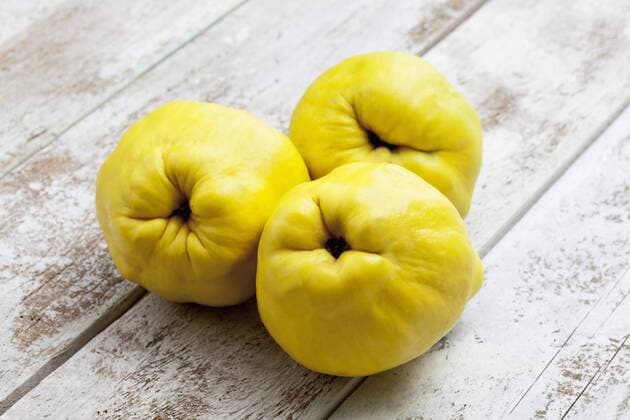 Three quinces (Cydonia oblonga) on wooden table  CSF020327