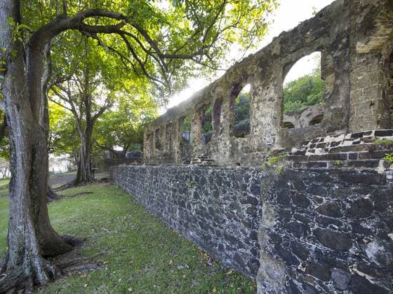 Caribbean, St. Lucia, Ruins of Fort Rodney, Pigeon Island  AMF001886