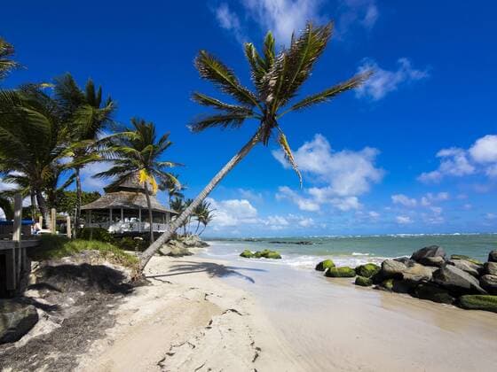 Caribbean, Saint Lucia, Beach at Vieux-Fort  AMF002092