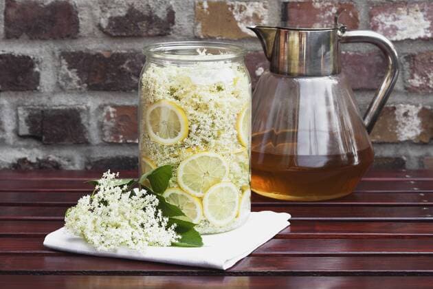 White elderflowers and lemon in glass bowl, edible flowers, European Black Elder (Sambucus nigra), making of elder sirup  GWF002533