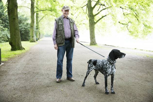 Senior man walking with his German Shorthaired Pointer in city park model released property released  JATF000735