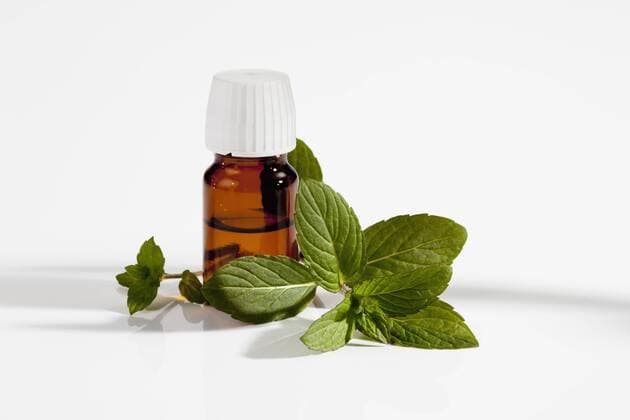 Japanese Mint with on bottle of medicine on white background, close up  CSF018997