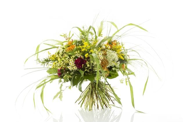 Bouquet of field flowers on white background  MAEF006821