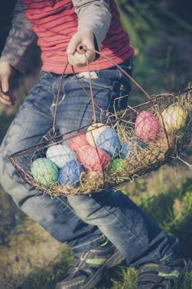 Boy in garden carrying Easter basket model released  MJF000981