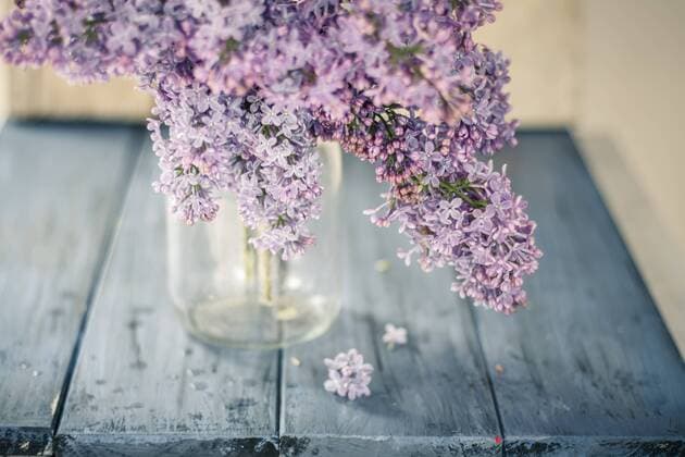Germany, Baden Wuerttemberg, Lilac flower in vase on blue wooden board  SBDF000120