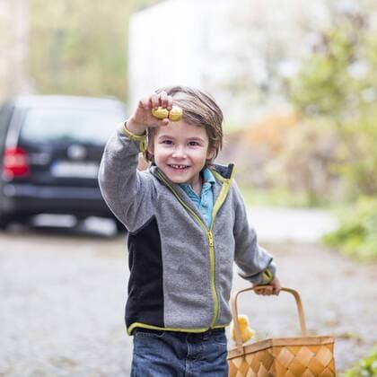 Little boy with basket proudly presenting his found chocolate Easter bunny model released  ZMF000274