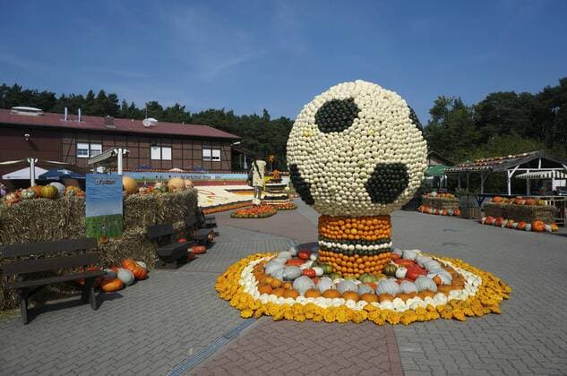 Klaistow, Brandenburg, Fußball aus Kürbissen, Fußball, Ball, Kürbis, Kürbisse, Kürbisausstellung, Spargelhof Klaistow