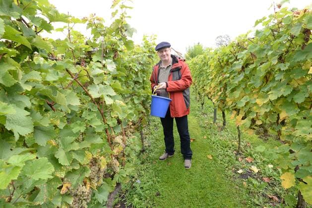 Berliner Riesling aus Prenzlauer Berg Jens-Holger Kirchner (Bü 90 Die Grünen), Bezirksstadtrat