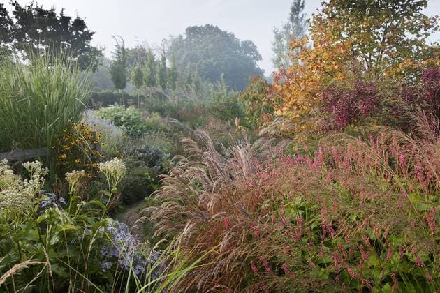 Marchants Sussex early autumn fall borders perennials ornamental grasses September mist misty morning garden plant combination Panicum virgatum Rotstrahlbusch Overdam 5028_13_gbord_397