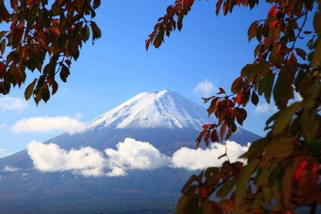 Yamanashi Prefecture, Japan  (cmob009255)