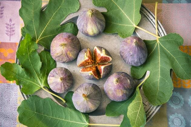Figs and leaves on a zinc platter  SARF000809