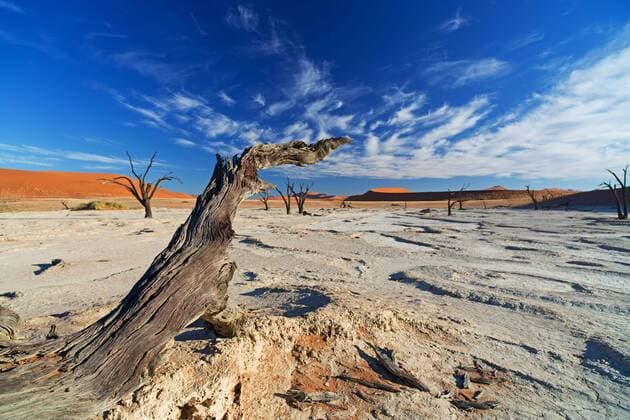 Deadvlei in der Namibwueste in Namibia, Namibia, Namib Naukluft Nationalpark, Sossusvlei Deadvlei at the Namib Desert in Namibia, Namibia, Namib Naukluft National Park, Sossusvlei BLWS325971