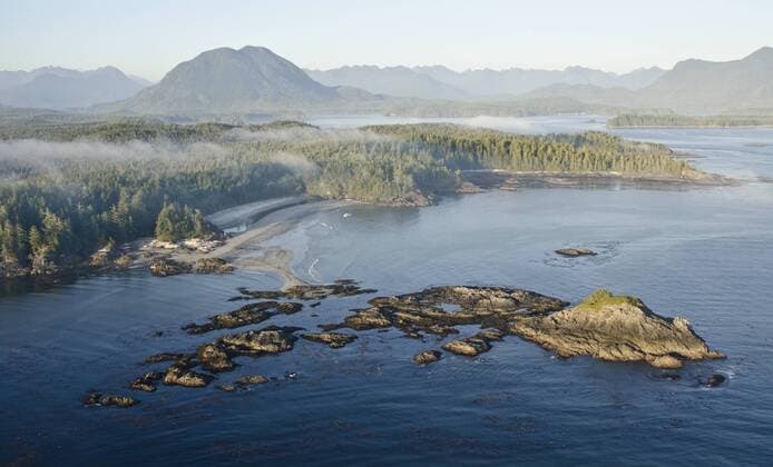 Temperate rainforest on the coastline, aerial shot, Vancouver Island, British Columbia, Canada, July.  1464323 BertiexGregory
