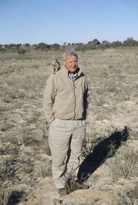 IMAGO ICONS: Sir David Attenborough Sir David Attenborough mit Erdmännchen auf der Schulter, Filmarbeiten für BBC-Serie Life of Mammals, Kalahari, Provinz Nordkap, Südafrika iblsew04018481.jpg