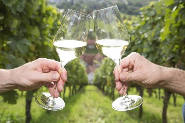 IMAGO Creative, Sommer, Weinfeste und Weinwanderungen Germany, Bavaria, Volkach, clinking glasses in vineyard model released Symbolfoto property released  FKF000790