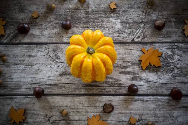 Yellow pumpkin, chestnuts and acorns on grey wood  LVF002095