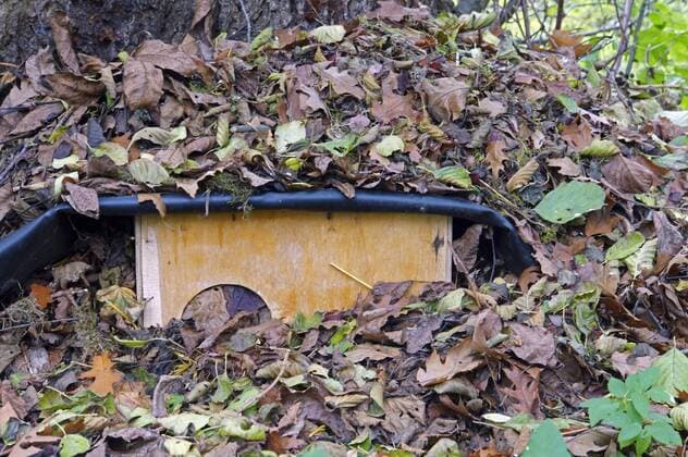 IMAGO Creative: Jahreszeit Herbst, Igel beziehen Winterquartier Europaeischer Igel, Westeuropaeischer Igel, Westigel, West-Igel, Braunbrustigel, Braunbrust-Igel (Erinaceus europaeus), Igelhaus zur Ueberwinterung, Deutschland, Nordrhein-Westfalen Western hedgehog, European hedgehog (Erinaceus europaeus), hedgehog house for overwintering, Germany, North Rhine-Westphalia BLWS380018