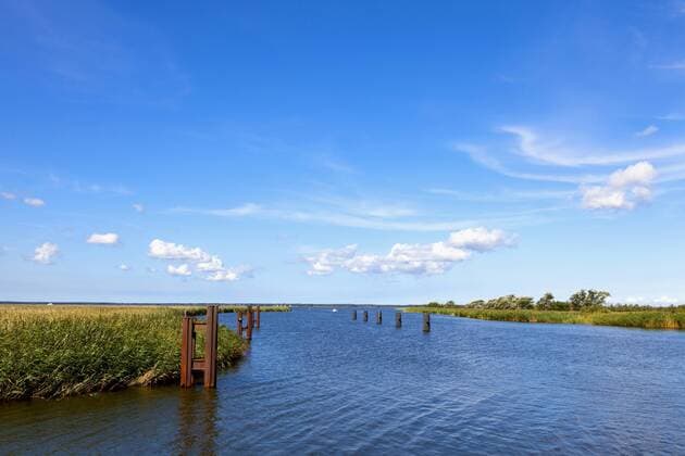 Bodstedter Bodden, Nationalpark Vorpommersche Boddenlandschaft, bei Bresewitz, Fischland-Darß-Zingst, Mecklenburg-Vorpommern, Deutschland, Europa ibxann04015343.jpg