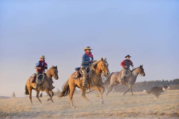 USA, Wyoming, three riding cowboys and a dog model released Symbolfoto property released  RUEF001402