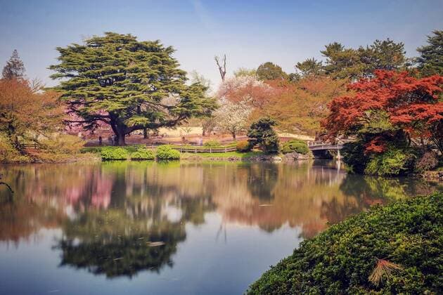 japanischer Garten im Frühling kurz nach der Kirschblüte. Reise Japan, Tokyo, Tokio
