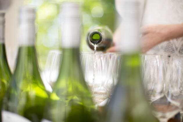 IMAGO Creative, Sommer, Weinfeste und Weinwanderungen White wine being poured at wine tasting session model released Symbolfoto property released  ZEF003178